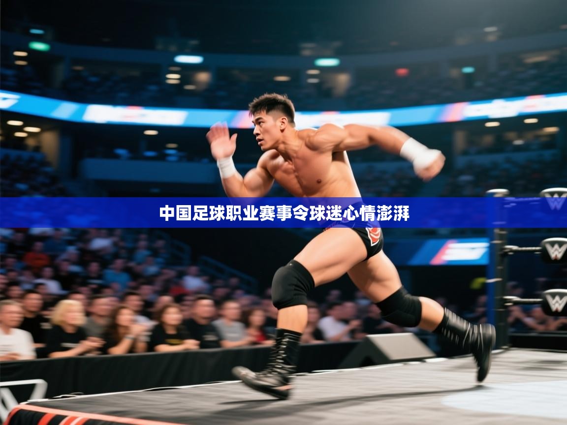 中国足球职业赛事令球迷心情澎湃  第1张