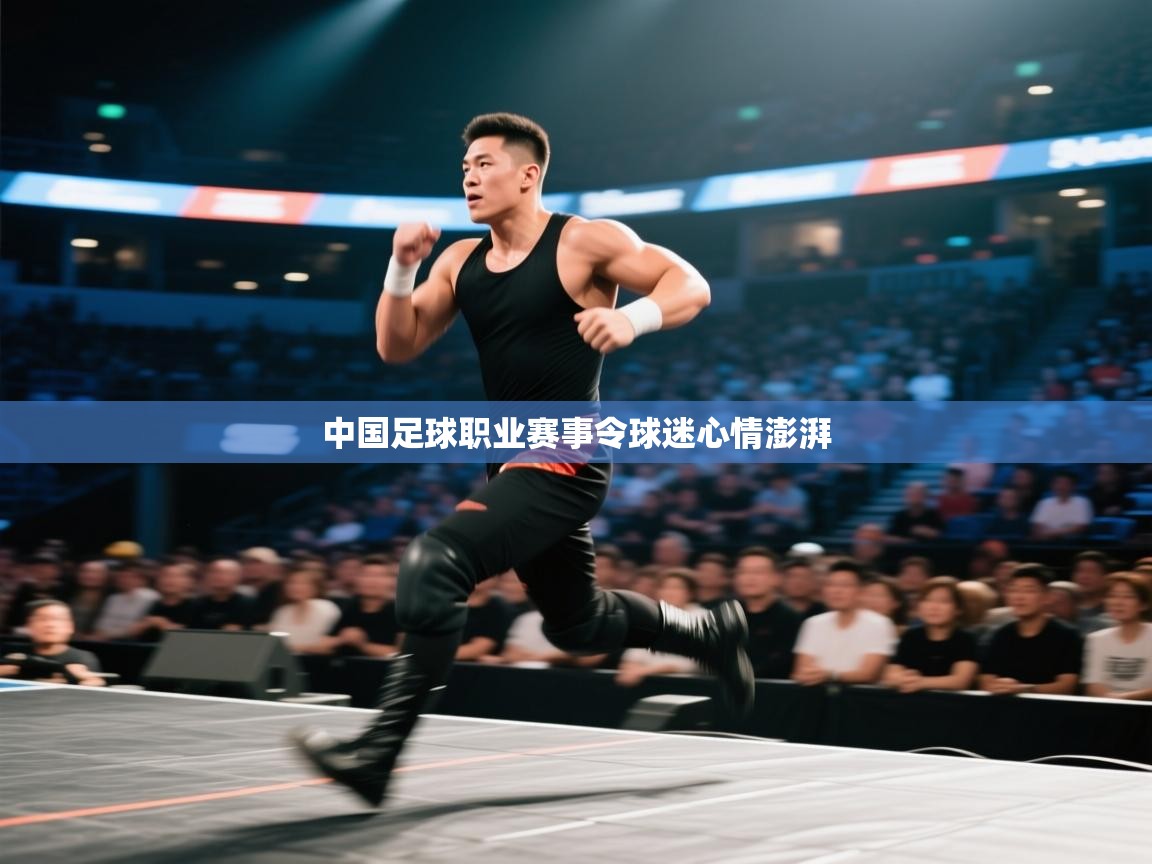 中国足球职业赛事令球迷心情澎湃  第2张