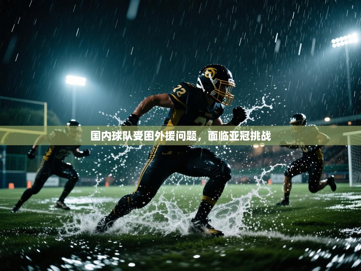 国内球队受困外援问题，面临亚冠挑战