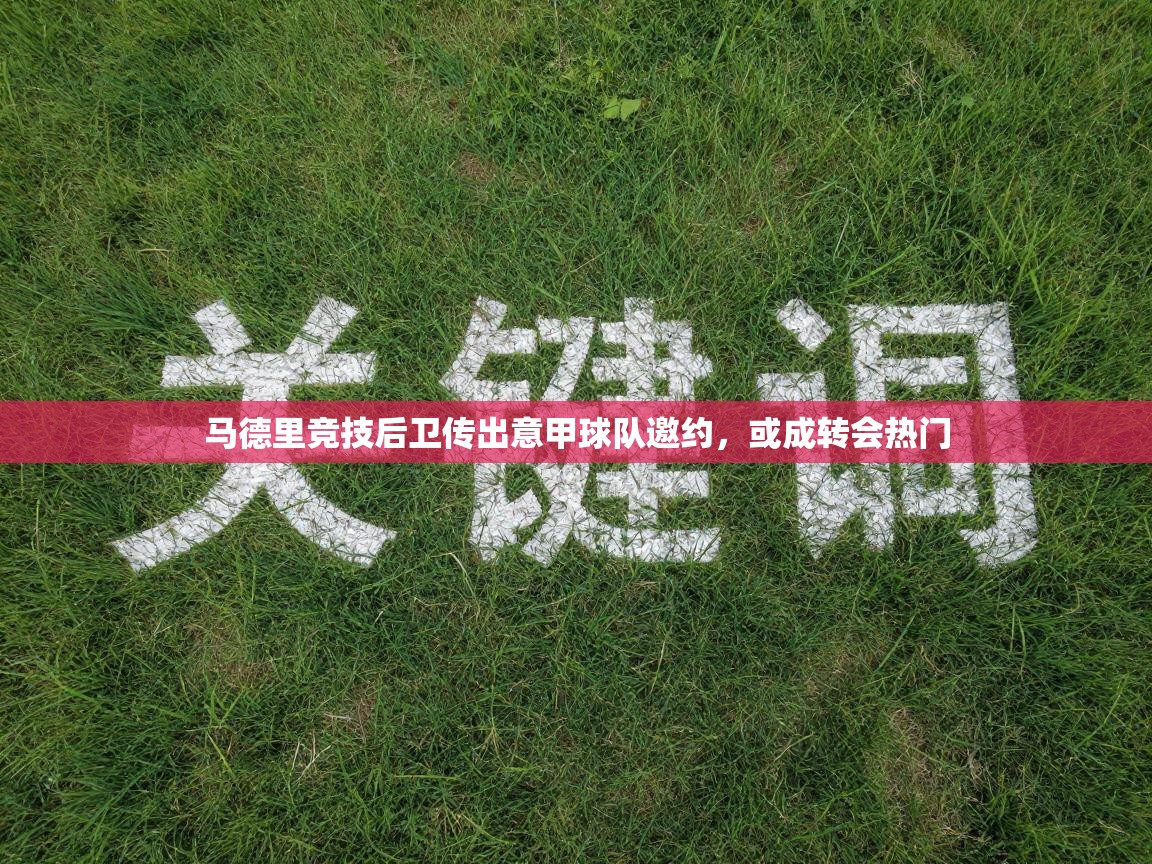 马德里竞技后卫传出意甲球队邀约，或成转会热门